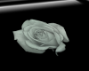 (lm)white rose marker