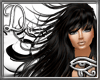 Hot Hight Light Style 11