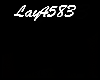 Lay4583