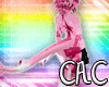 [C.A.C] PinkShar Tail