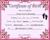 Iliana Birth Certificate