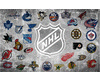 NHL animated flag