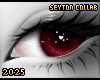 . Rat | Eyes