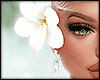 ☯ Fade Flowers