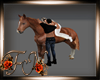 F: Horse Kiss