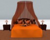 Orange Bed w/Poses
