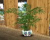 PLANT/TUCAN VASE