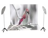 Pink Snow Bird Backdrop