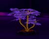(Sh)Violet plant II