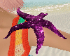 Purple Moon Starfish ⋆