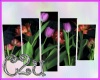 C2u Colored Tulip Pic