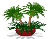 POTTED PALMS/RED POT