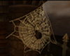 Spider & web Halloween