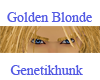 Golden Blonde Eyebrows