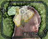 Emerald Head Acc