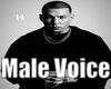 Moroccan Male voice