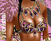 carnaval rio PF