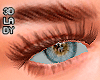 DY*Zell Lashes