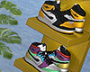 金 Sneakers Collection