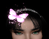 butterfly ♡ pink