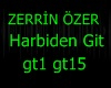 ZERRÄ°N ÃZER GÄ°T