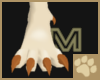 ~AM~Cicikava Claw Feet M