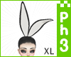 :|~Bunny  F XL