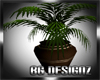 [BGD]Cafe Plant III