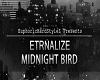 midnight bird