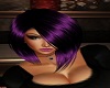 Escala Midnight