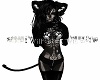 Black Kitty Cat Cats