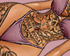 ☆ Belladona T1