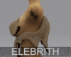 Elebrith 01 Top Bzn