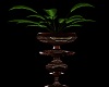 Vase/Plant X4.
