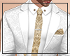 N. Arabian Suit