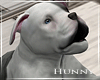 H. Pitbull Puppy