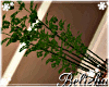         [B] BambooPlantS