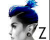 [Z] Blue bun