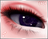 ✧ Samoyed | Eyes L