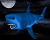 DJ LIGHT BLUE SHARK ANIM