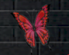 ButterFly Animation