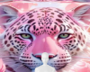 Tiger rose bg