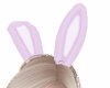 Bun! Lilac Bunny Ears