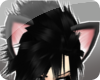 {s} Black Cat Ears