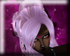 *Slania* Pixie