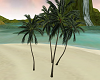 Tropical Palm Tree v1