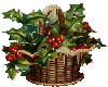 Basket of holly