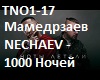 Mamedrzaev NECHAEV-1000