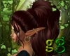 *G Teresa DragonsBlood