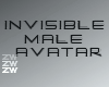 ☑ invisible Avatar